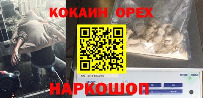 ECSTASY Новодвинск