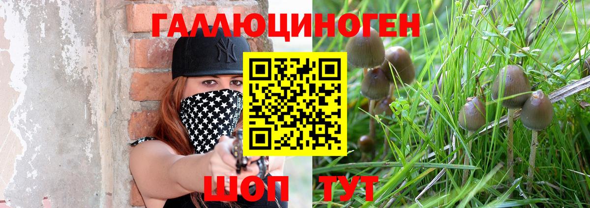 Псилоцибиновые грибы GOLDEN TEACHER  Галлюциногенные грибы мицелий  Хабаровск  Вход с VPN 